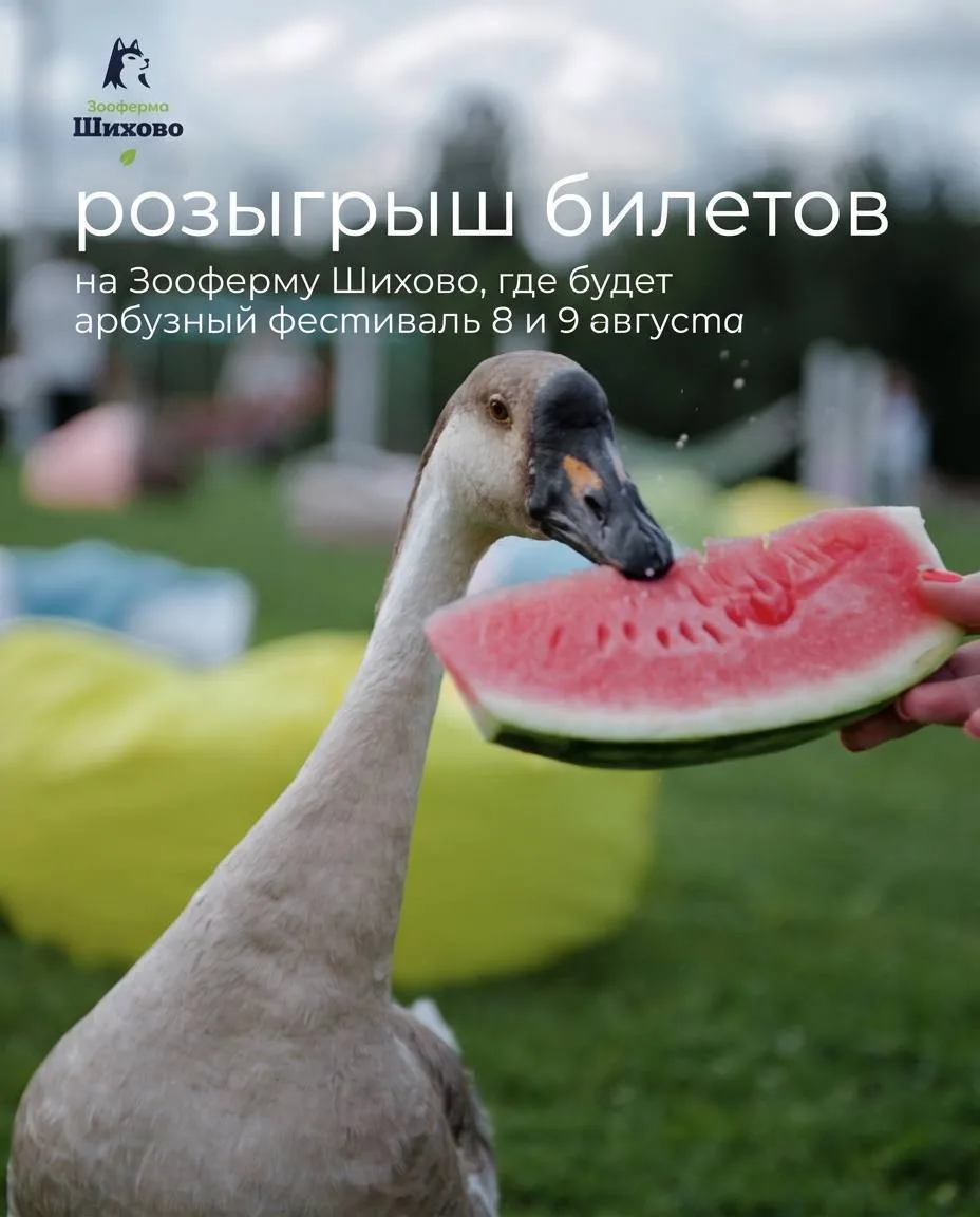 Дарим 2 семейных билета на 🍉Арбузный фестиваль на «Зооферме Шихово»