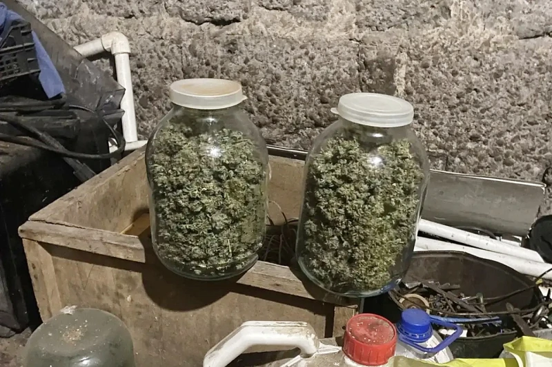 ⚡️👮‍♂️ В Каргапольском округе полицейские изъяли у местного жителя около 250 граммов каннабиса

➡️ 