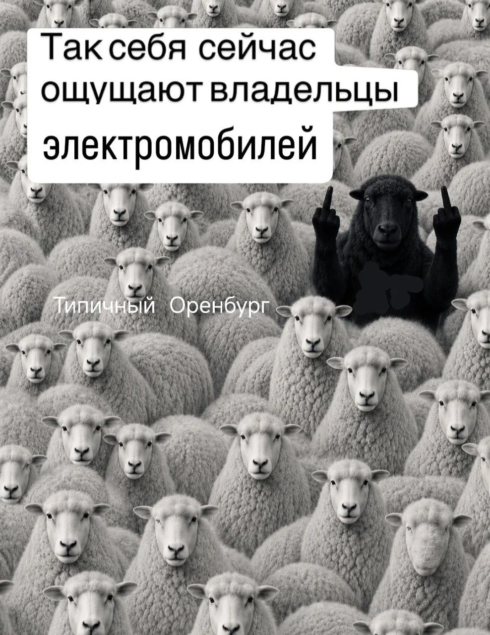 Есть такое 😂😂