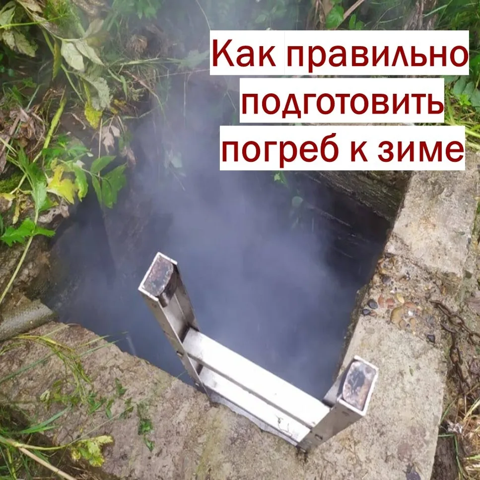 ✅Чек-лист безопасной подготовки погреба к зиме