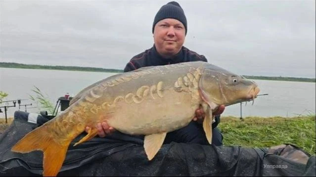 🎣 Почти 10 кило: трофейного карпа поймали на турнире в Ульяновской области

В Старомайнском районе 