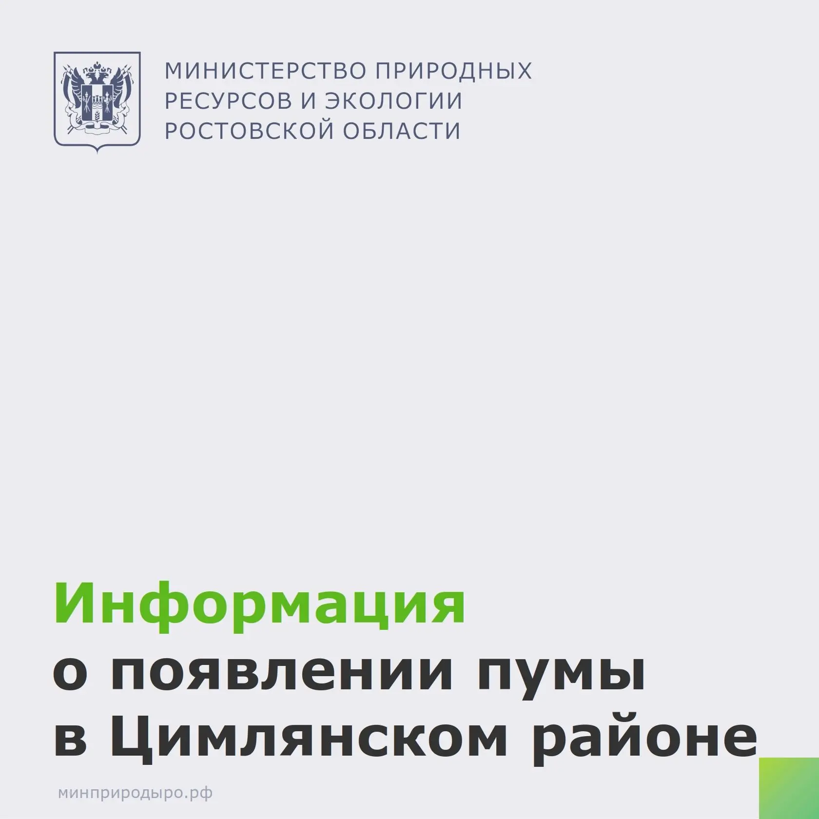 Специалисты минприроды рассмотрели информацию о появлении пумы на территории ст. Красноярской Цимлян