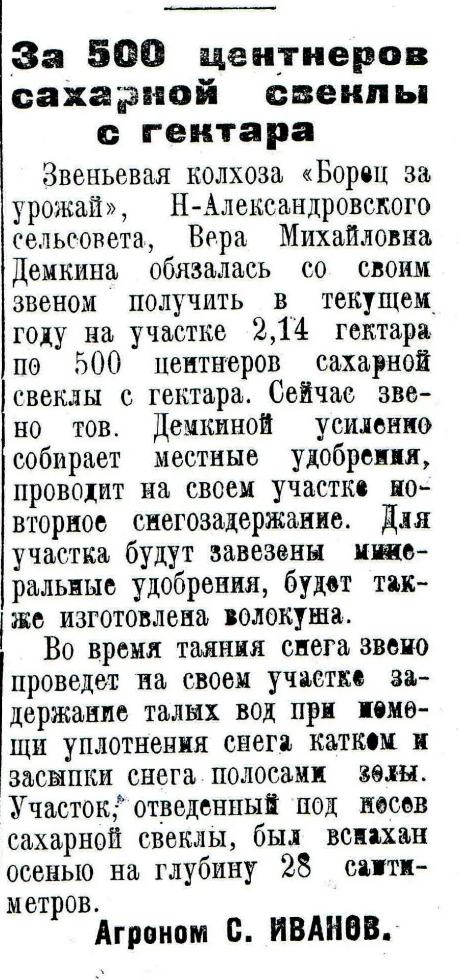 #ЛистаяЗнамёнку Статья агронома С.Иванова "За 500 центнеров свёклы с гектара" из газеты "Колхозный п