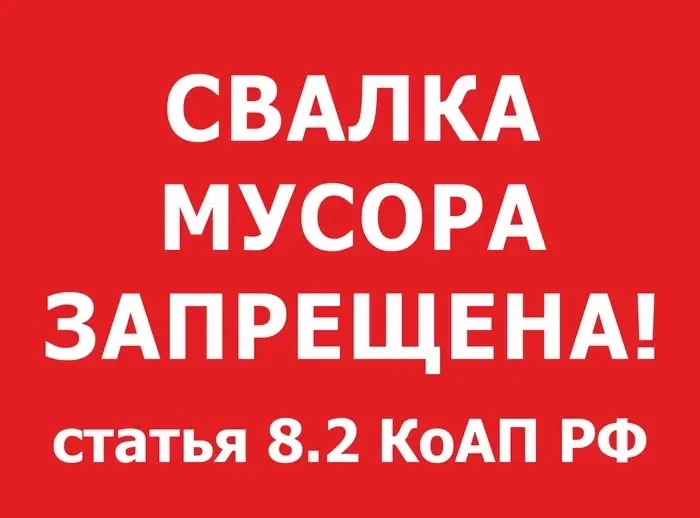 Возникновение несанкционированных свалок создает множество проблем, как для жителей, та...