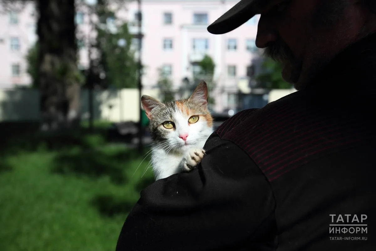 Сегодня — Всемирный день животных 🐾