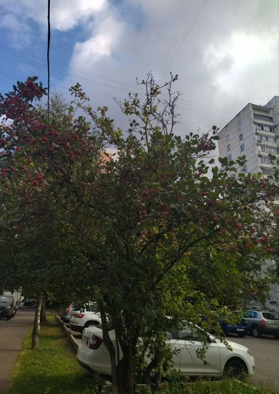 Район уже дышит осенью 🍁