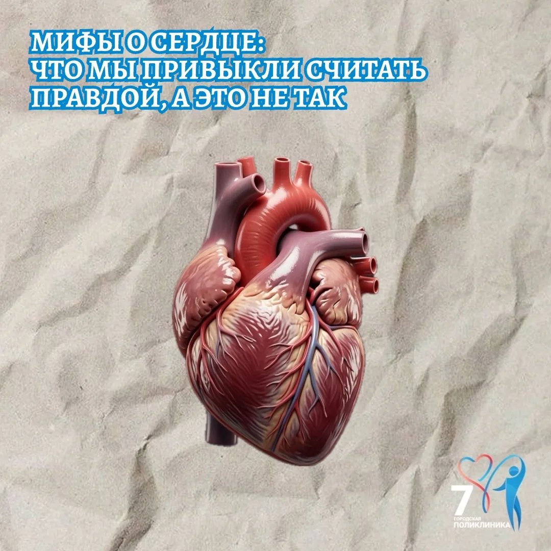 Разбираем популярные заблуждения, которые могут мешать заботиться о сердце.