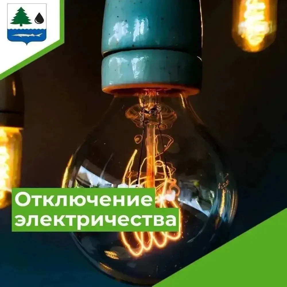 ‼️Внимание ‼️