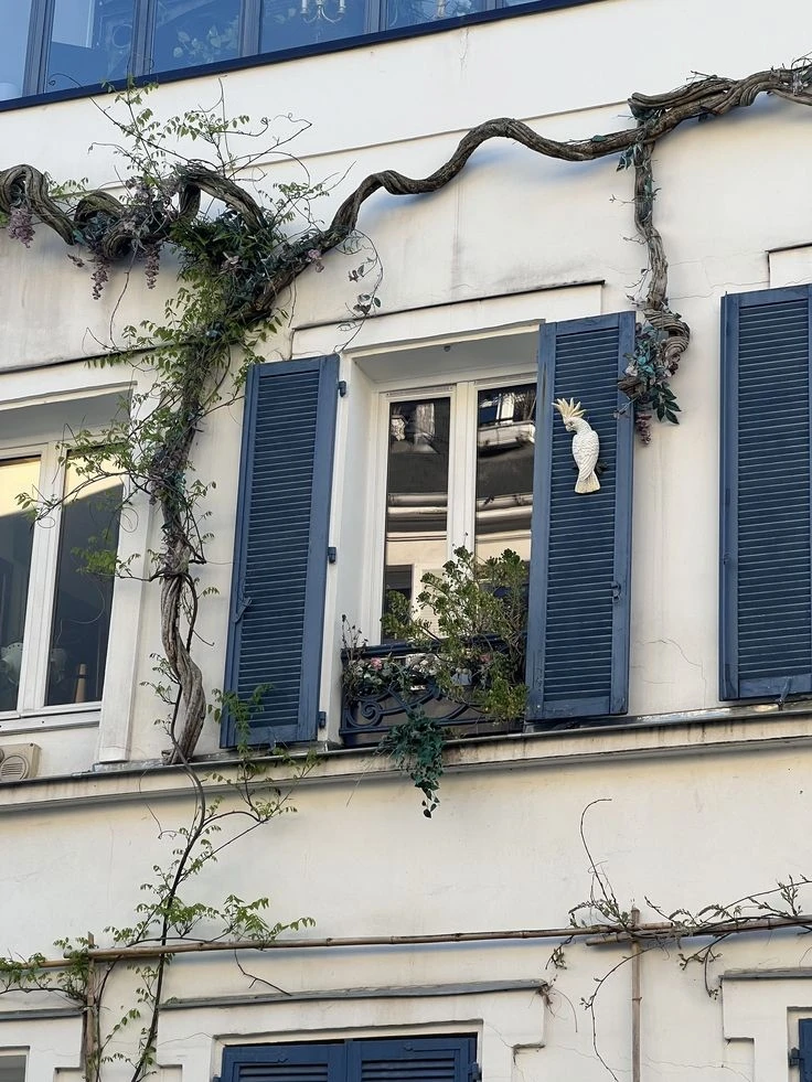 𝐇𝐎𝐌𝐄 vs 𝐇𝐎𝐔𝐒𝐄  Разница в том, это здание или место, где уютно.  • 🏠 𝐇𝐎𝐔𝐒𝐄 — дом как здание. • Their 