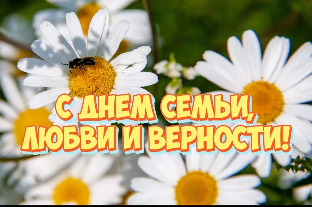 💫 Дорогие друзья!
🎊 От всей души поздравляем Вас с замечательным праздником — Днём семьи, любви и 