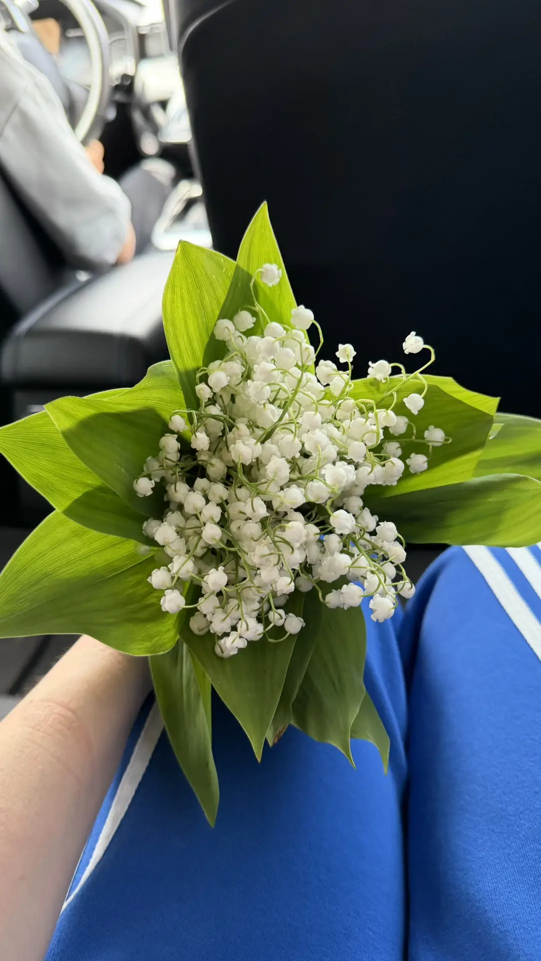 Приятно себя радовать❤️ шла с улыбкой до ушей)