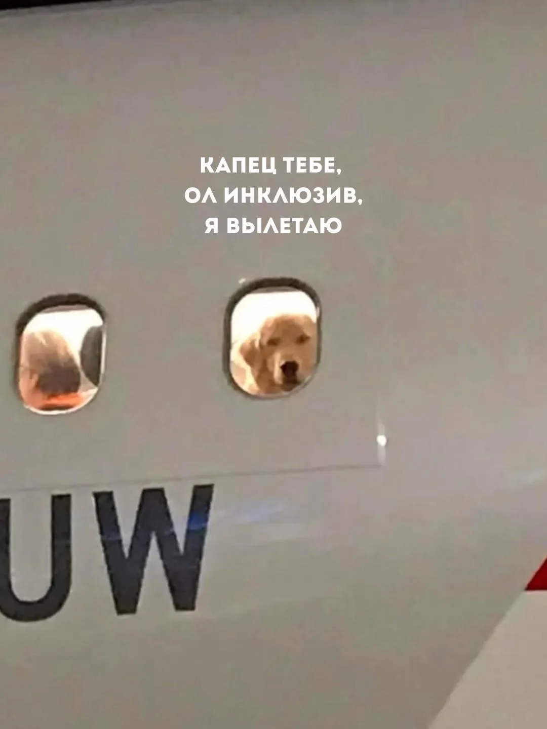 Время отпусков! ✈️🌴