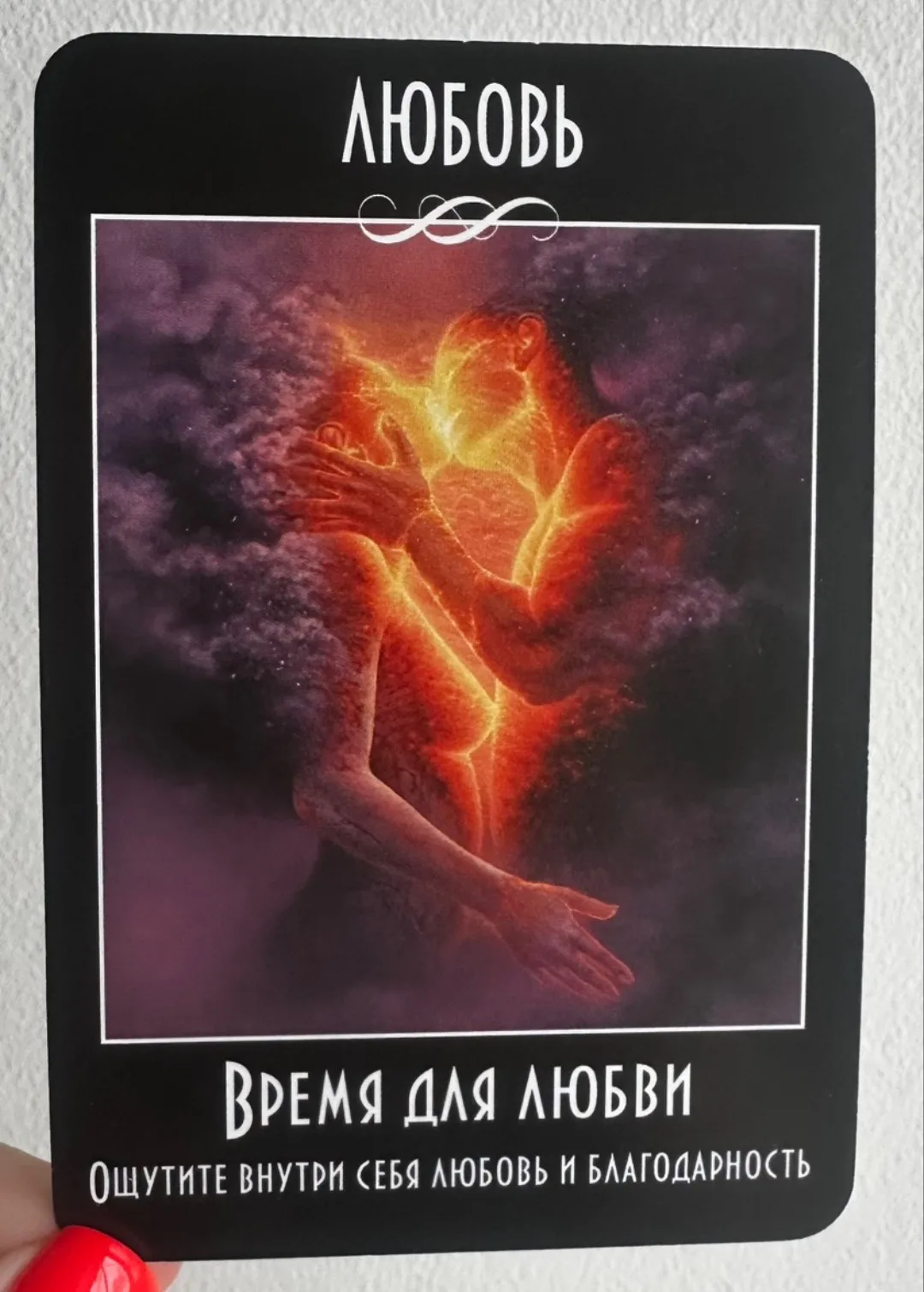 Изображение 1 к публикации «Не козерог, а крыса»