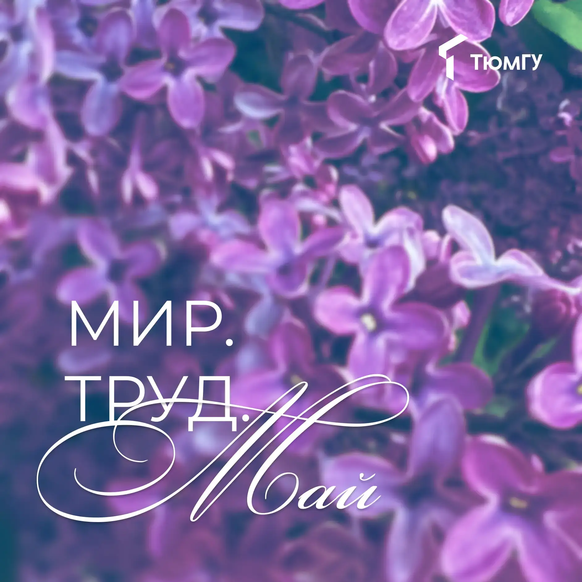 Уважаемые преподаватели, студенты, аспиранты и сотрудники ТюмГУ! 

Поздравляю вас с Праздником Весны