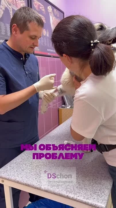Видео: https://vk.ru/clip-79047841_456239259