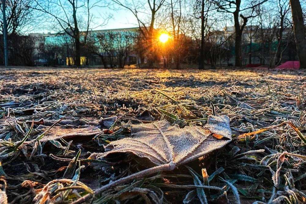 🥶 Холод +3°С накроет Москву этой ночью, — Гидрометцентр.
