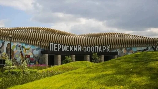 Пермский зоопарк сделает бесплатный вход для школьников и студентов. Когда?