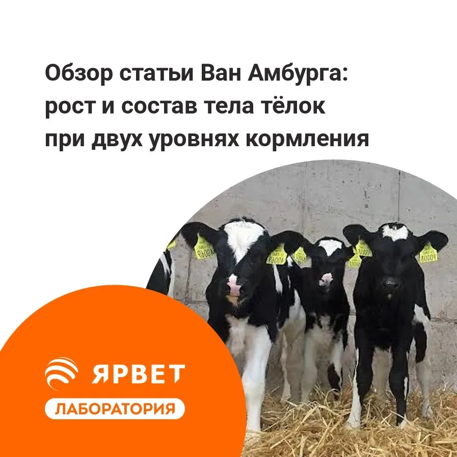Кстати, в июньском номере Journal of Dairy Science вышла и новая работа Ван Амбурга и е...
