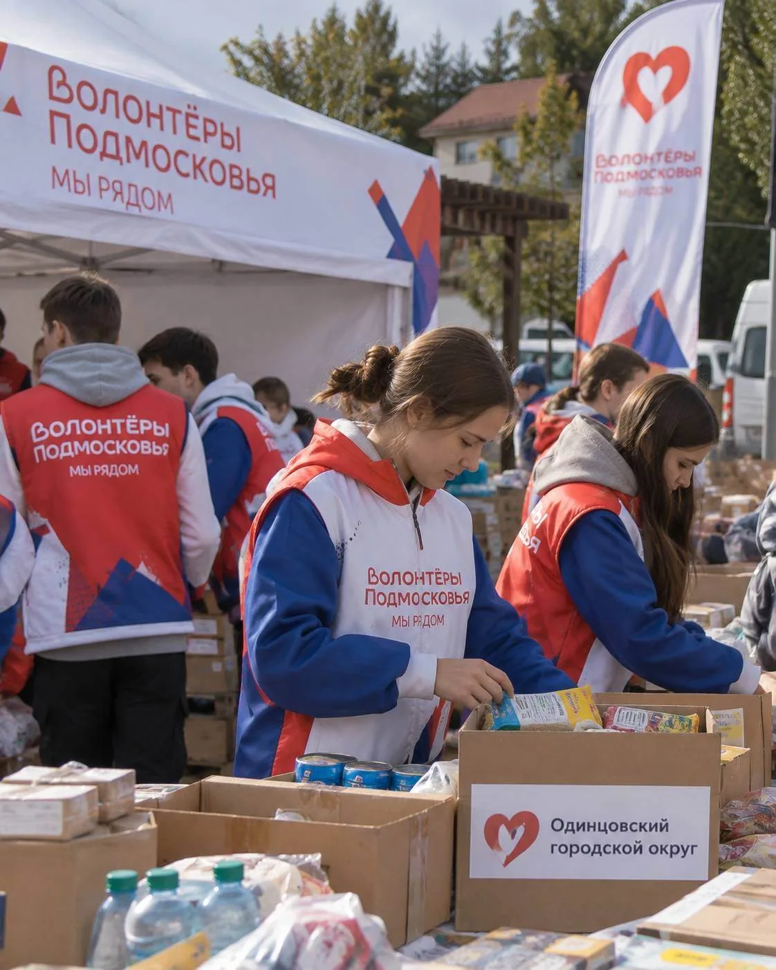🗞️ Подмосковье