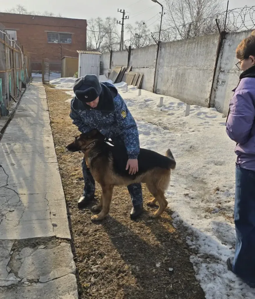 Специалистами КГБУ «Спасская ВСББЖ» проведён выезд в ГУФСИН для осмотра собак. Все живо...