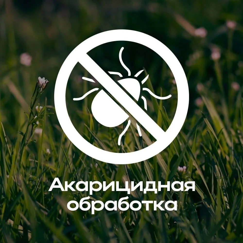 Академгородок | Академ | Новосибирск🏡

🌿 До 31 июля в городских парках проходит второй этап акариц