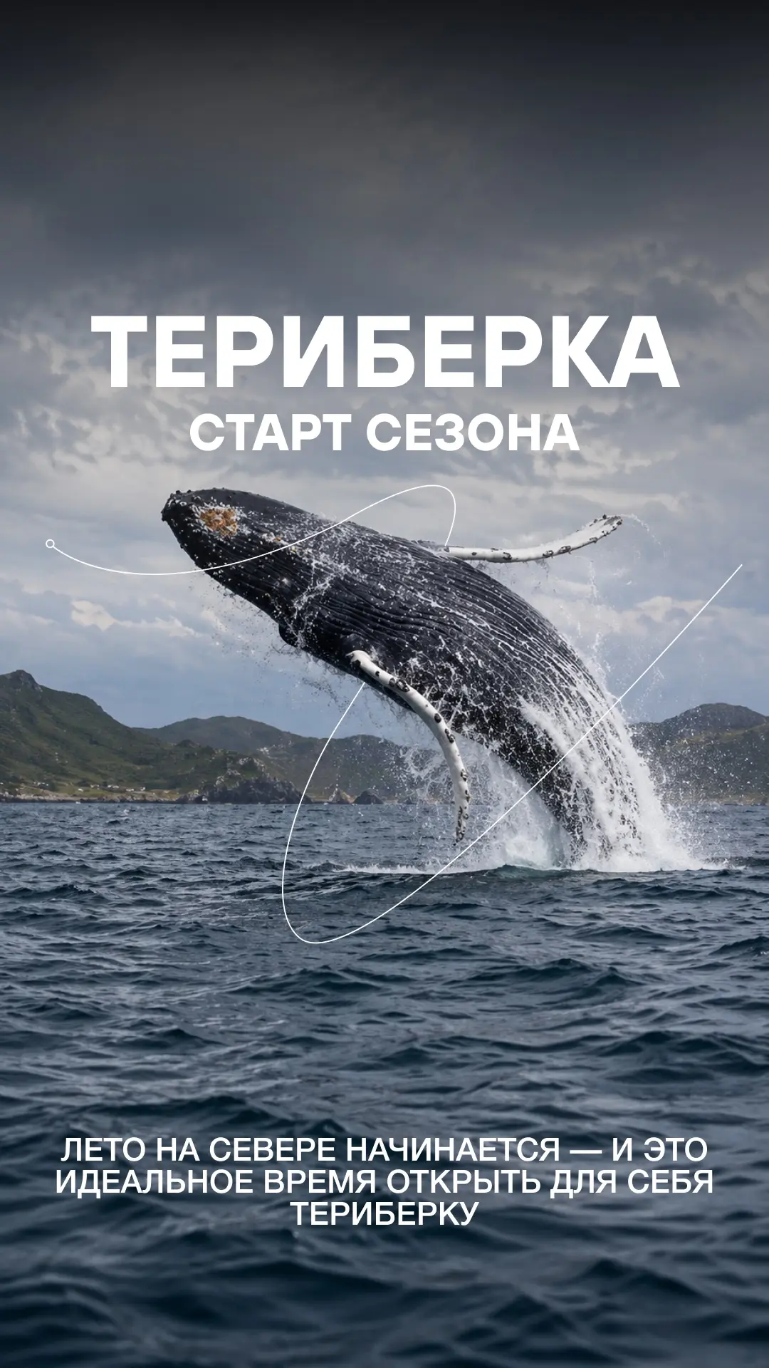 🐋Киты? Крабы? Океан?