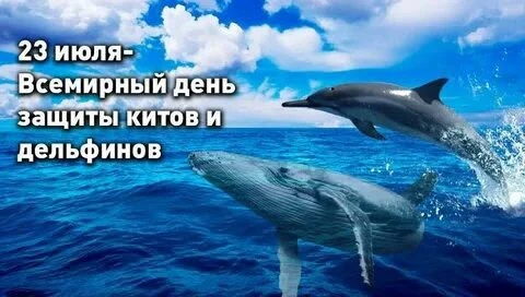 Сегодня 23 июля, давайте узнаем какие праздники в этот день, а также народные приметы и...