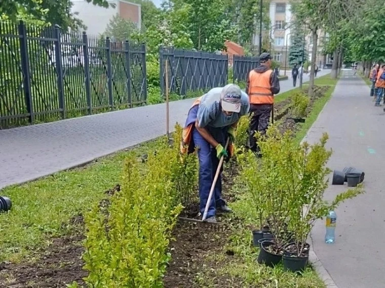 ✅В Туле высадят более 1000 саженцев кизильника

Вдоль велодорожки, выполненной в рамках проекта «Лев