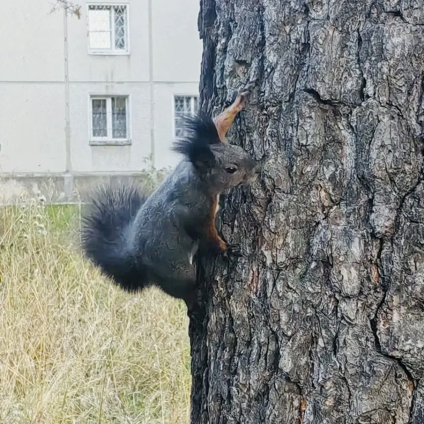 С добрым утром, Приангарье! 🌥️