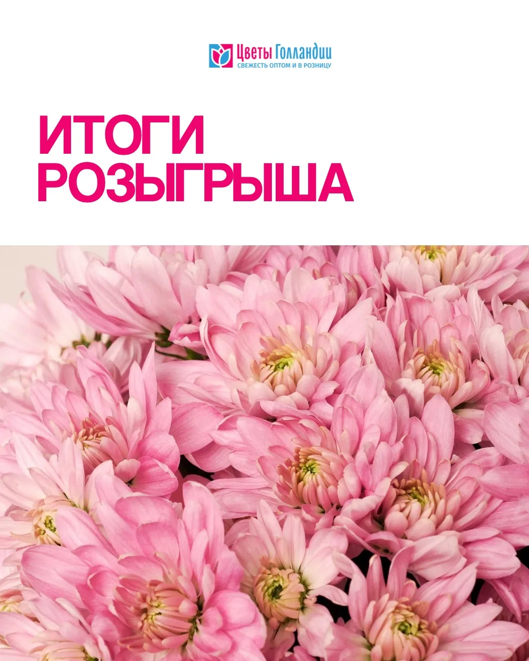 Как подарить яркие эмоции в пятницу? Мы знаем ответ!

Сегодня объявляем трех победителей нашего розы