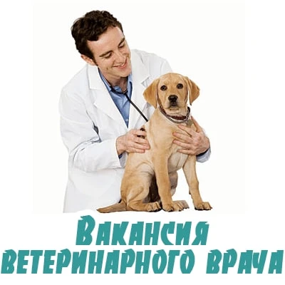 🐕🐈Требуется Ветеринарный врач в вирусологический отдел в Пермский Ветеринарный диагностический цен