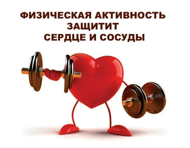 Физическая активность для здоровья сердца