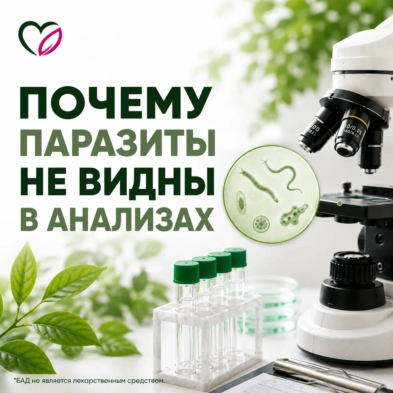 📢 НОВАЯ СТАТЬЯ: ПОЧЕМУ ПАРАЗИТЫ НЕ ВИДНЫ В АНАЛИЗАХ
Многие уверены: если анализы показали «отрицате