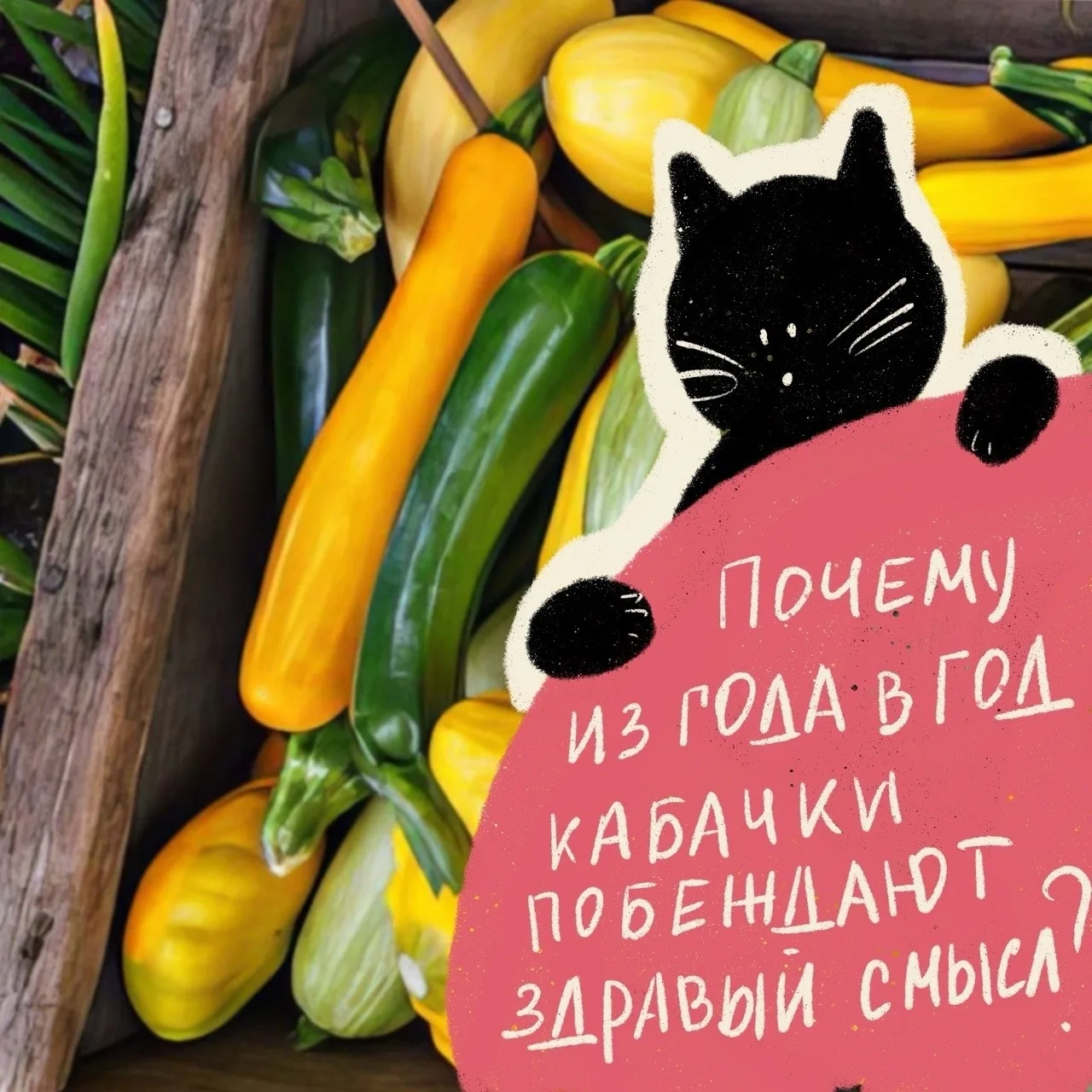 У кого соседи зашторивают окна и запираются, при виде вас с кабачками в руках? Вдруг вы...
