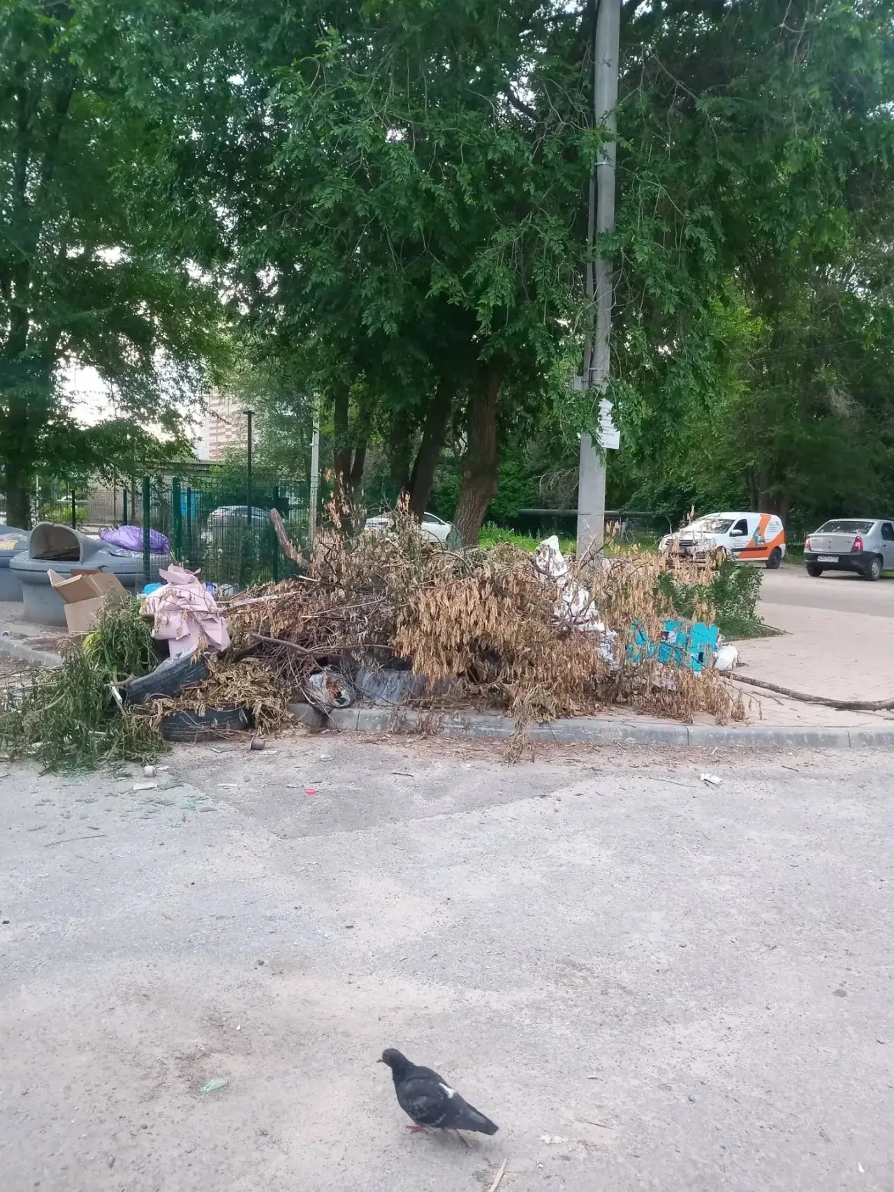 📩 Нам пишут
Жители Михайловки обращают внимание на ситуацию возле контейнерной площадки на улице ТО