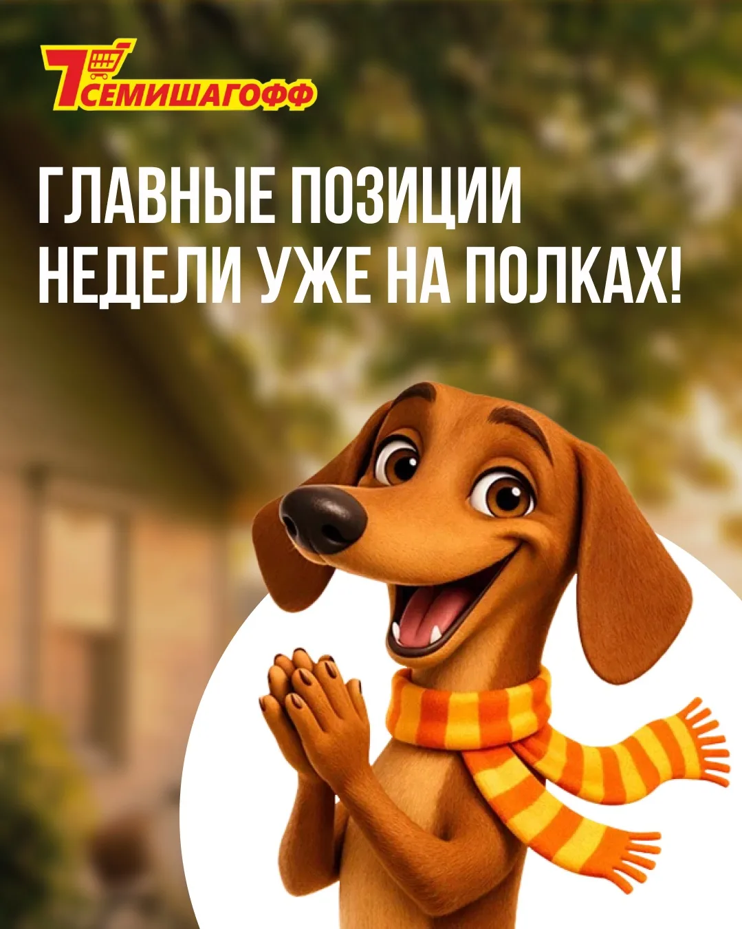 🛒 Главные позиции недели уже на полках!