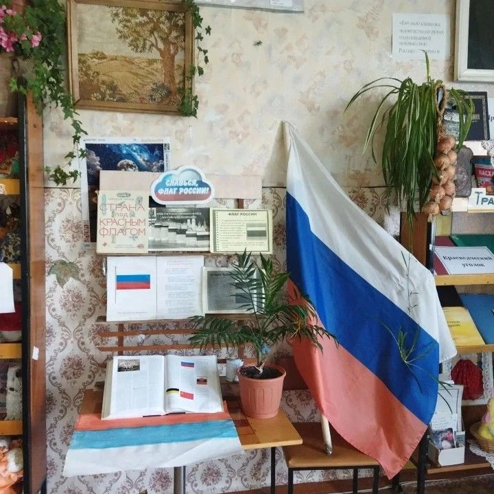 22 августа, в День государственного флага Российской Федерации, в Архангельской библиот...