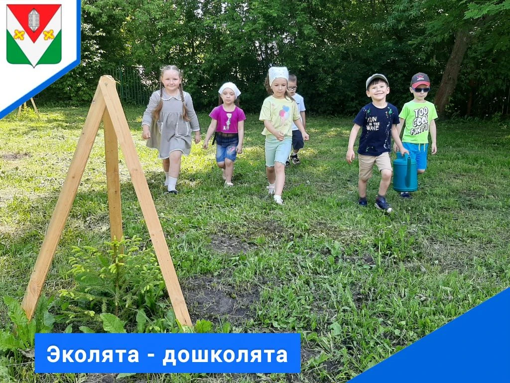 Выпускники - эколята нашего детского сада посадили елочки! Мы приняли эту эстафету! Уход за ёлочками