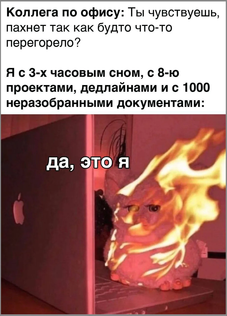 Фото