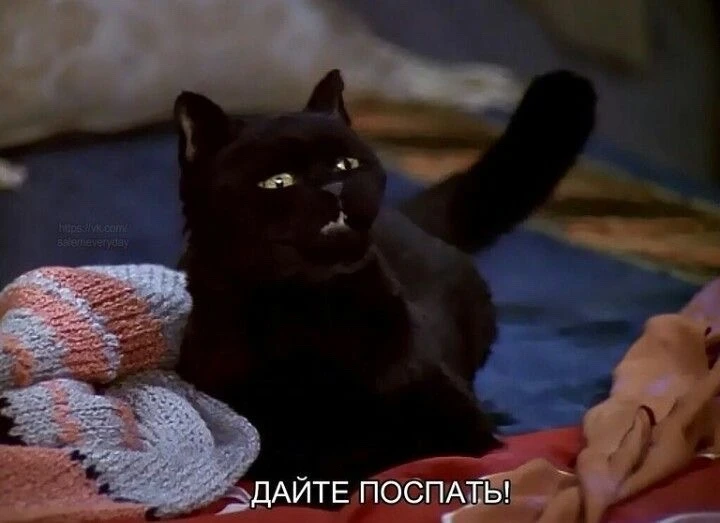 Это был непростой день, я спать🤍 отвечу всем завтра🤍