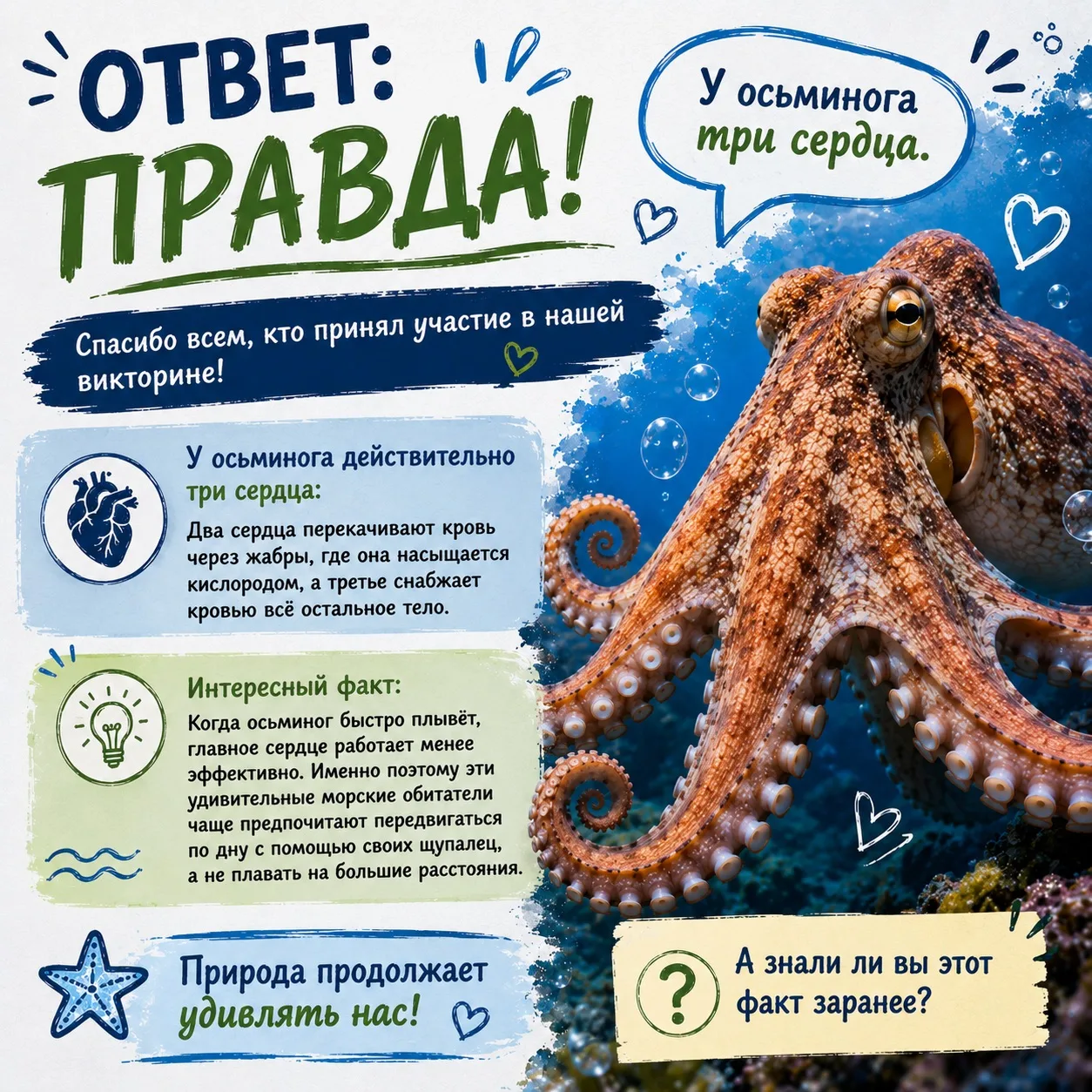 ✅ Правда!

Спасибо всем, кто принял участие в нашей мини-викторине! 💙

🐙 Правильный ответ — ПРАВДА