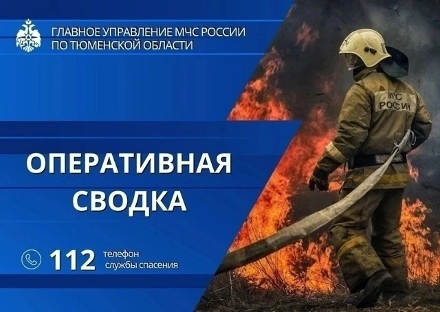 🔔 За минувшие сутки в Тюменской области: