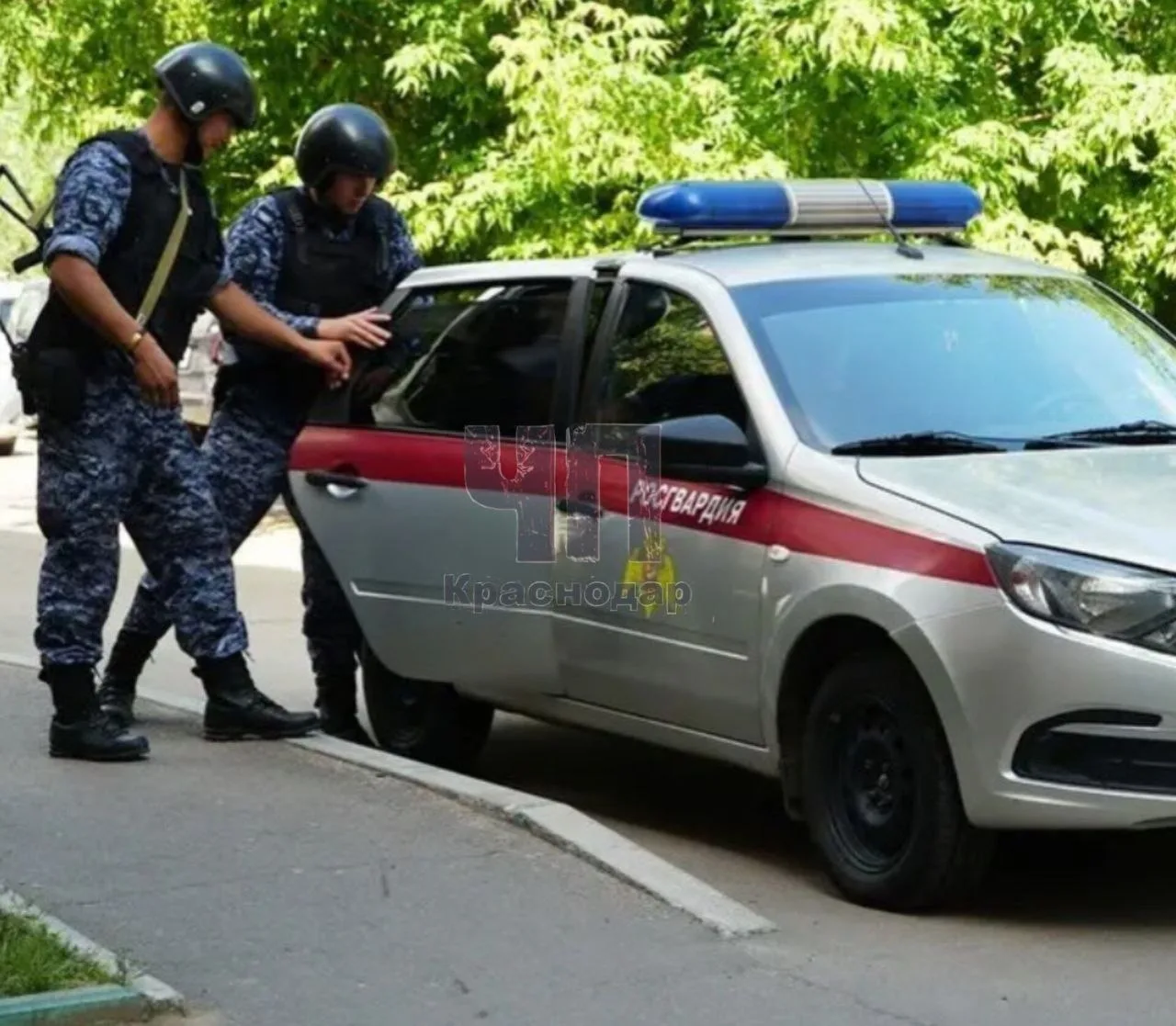 В Новороссийске мужчина покусал охранников из-за печати в бумагах!