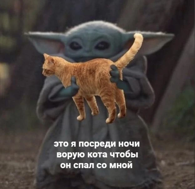 Изображение 1 к публикации «мемы про котов»