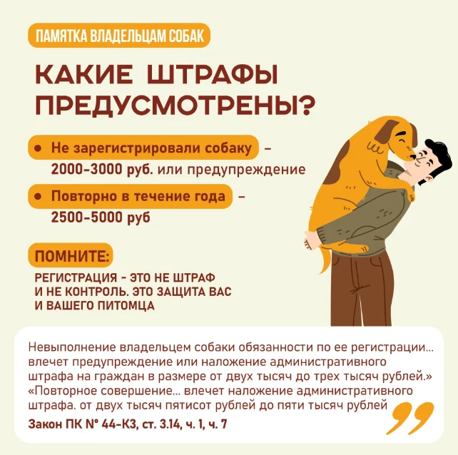 📣 А у вас дома живет собака? Тогда вам нужно ее зарегистрировать! ⁣ Процедура обязательна вне зависи