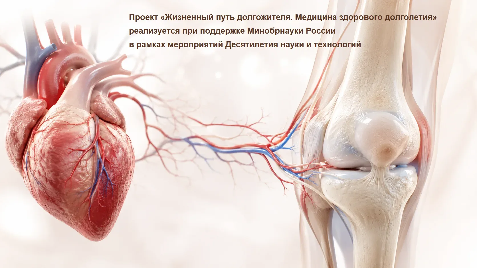 ⚡Безопасность в грозу: изучи сам и расскажи ребенку
