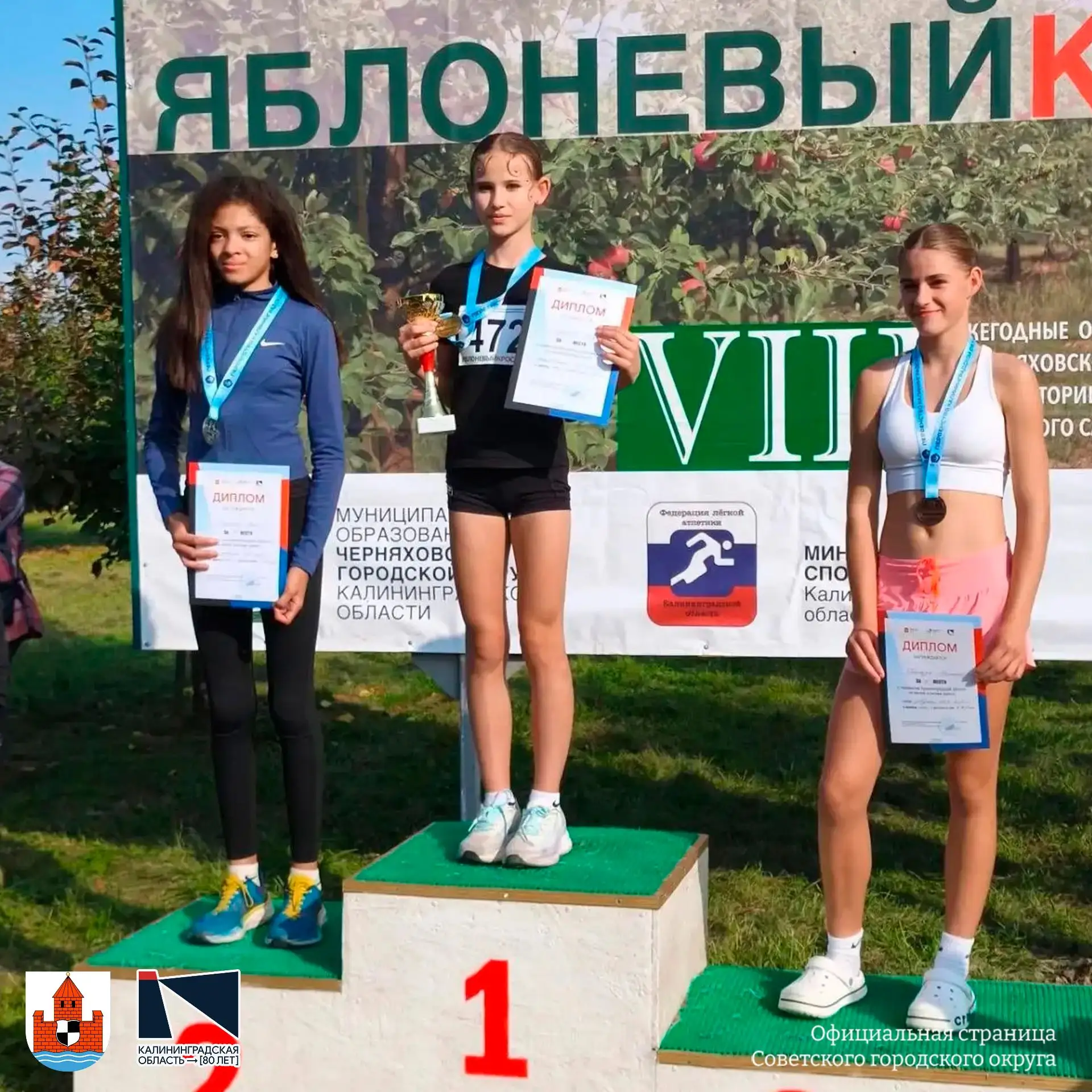 🏃 В Калиновке Черняховского муниципального округа 3 октября прошёл VIII ежегодный «Ябл...