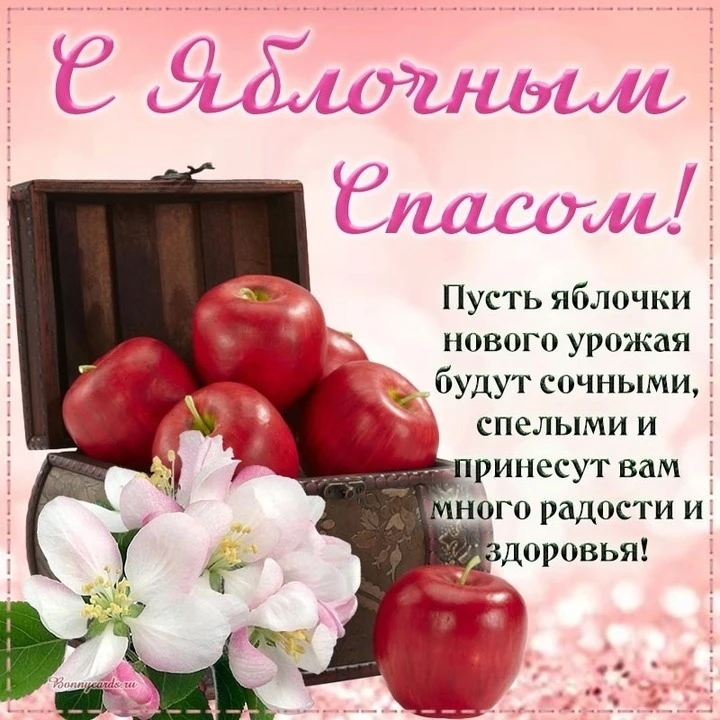 Дорогие ребята!