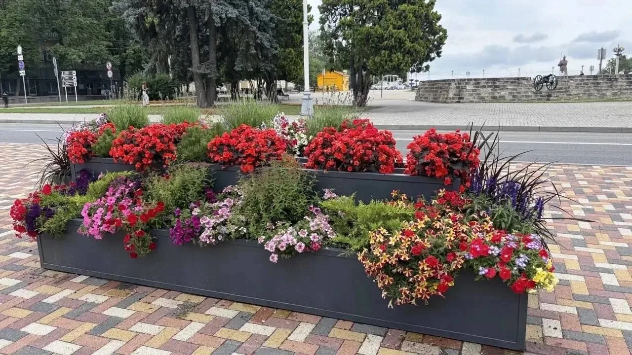 🌸 Ставрополь расцвёл к лету

Улицы города украсили 20 тысяч цветов. На центральных магистралях уста