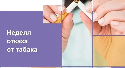 Неделя отказа от табака проходила в России с 25 по 31 мая 2026 года.